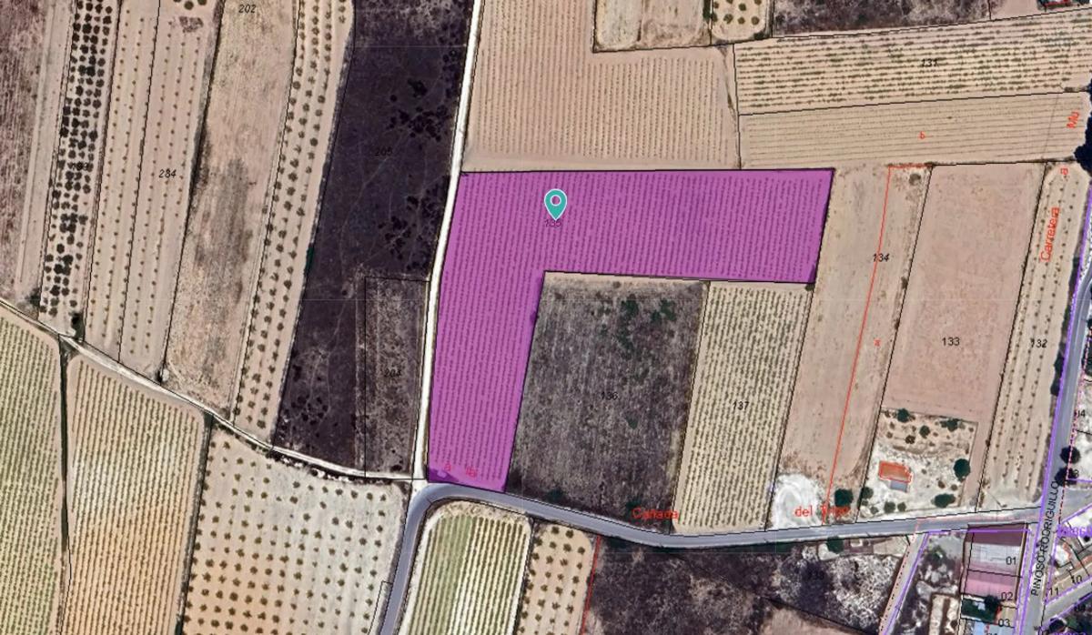 Terreno en venta en Pinoso, Alicante photo 1