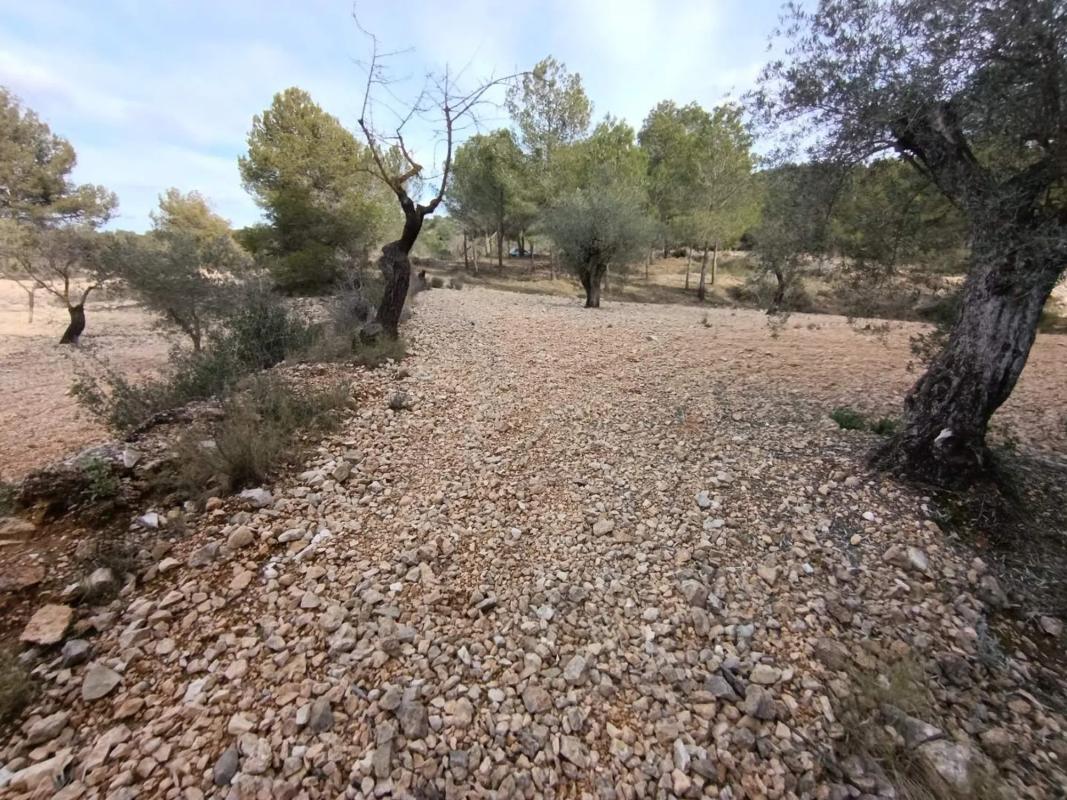 Land for sale in Hondón de las Nieves, Alicante photo 1