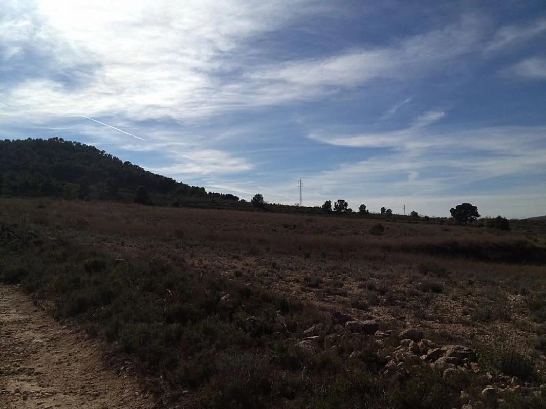 Terreno en venta en Monovar, Alicante photo 2