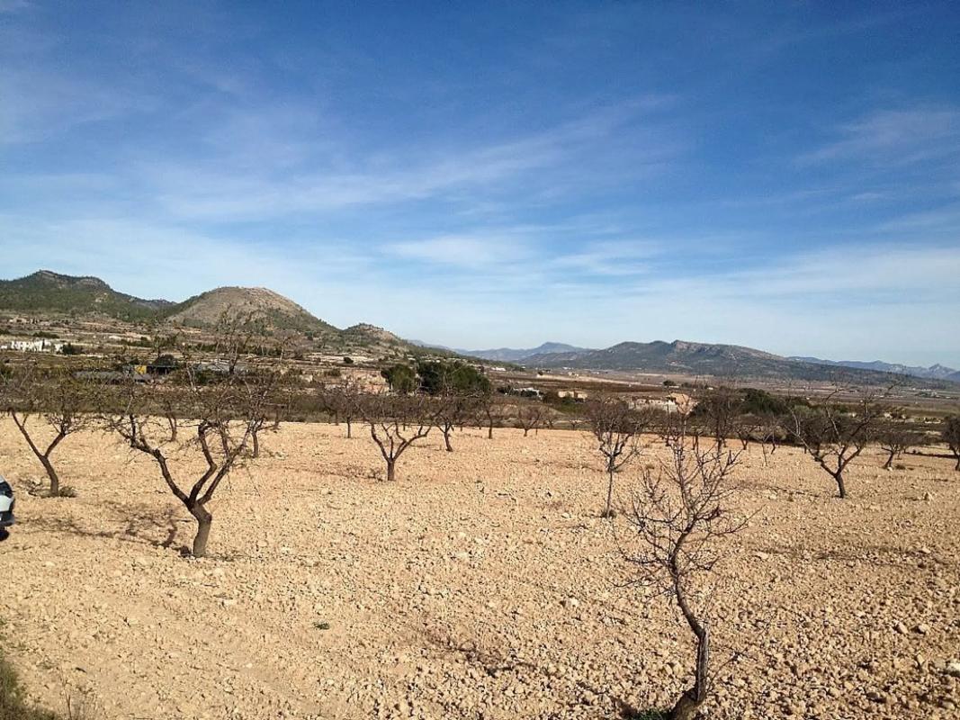 Terreno en venta en Monovar, Alicante photo 3