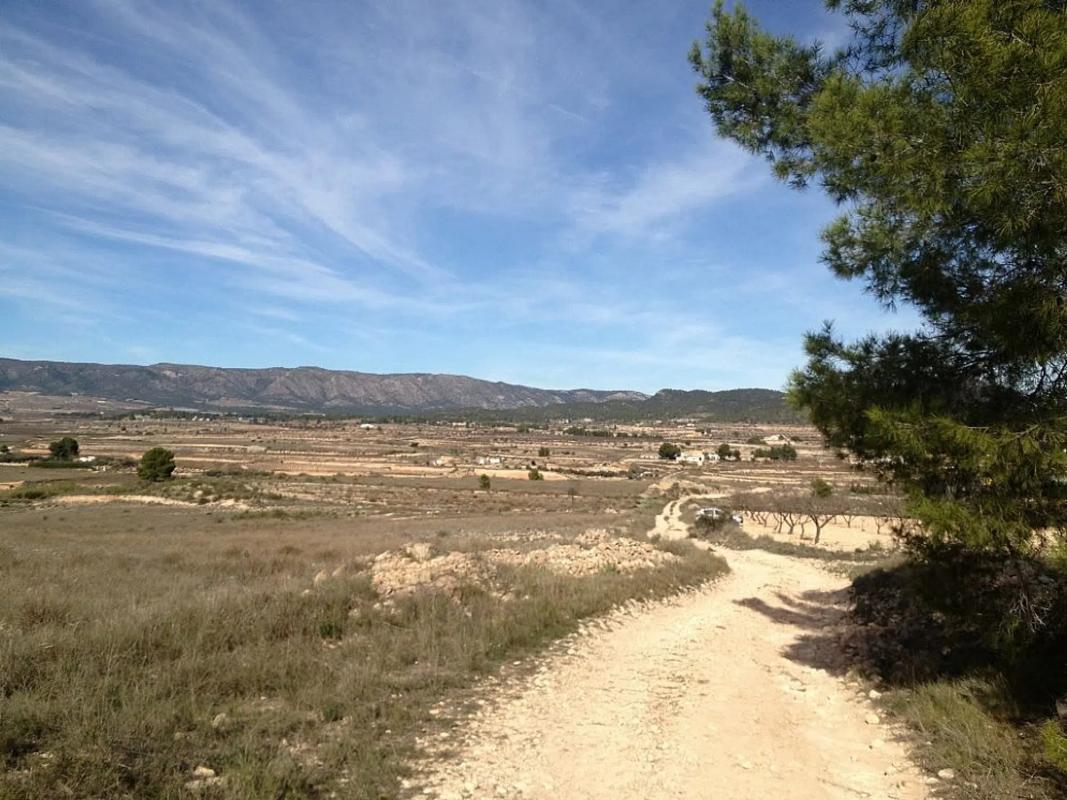 Terreno en venta en Monovar, Alicante photo 4
