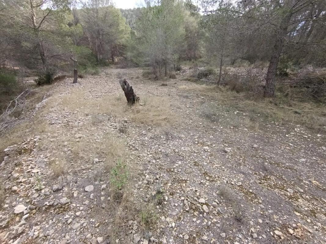 Land for sale in Hondón de las Nieves, Alicante photo 4