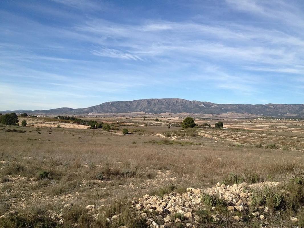 Terreno en venta en Monovar, Alicante photo 5