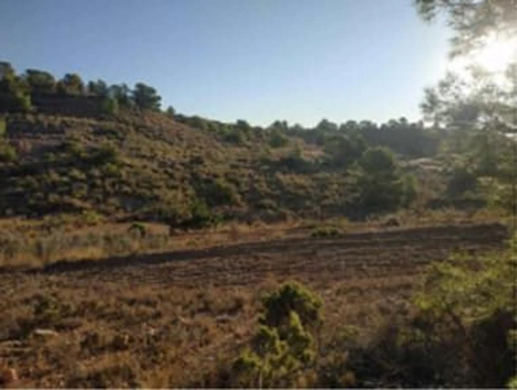 Terreno en venta en La Romana, Alicante photo 2
