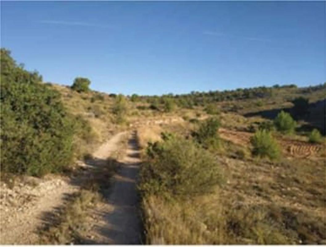 Terreno en venta en La Romana, Alicante photo 3