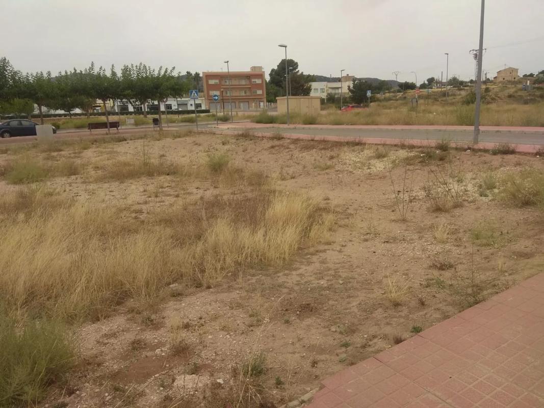 Terreno en venta en Monovar, Alicante photo 1