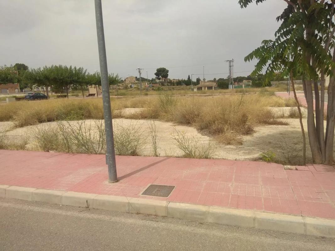 Terreno en venta en Monovar, Alicante photo 5