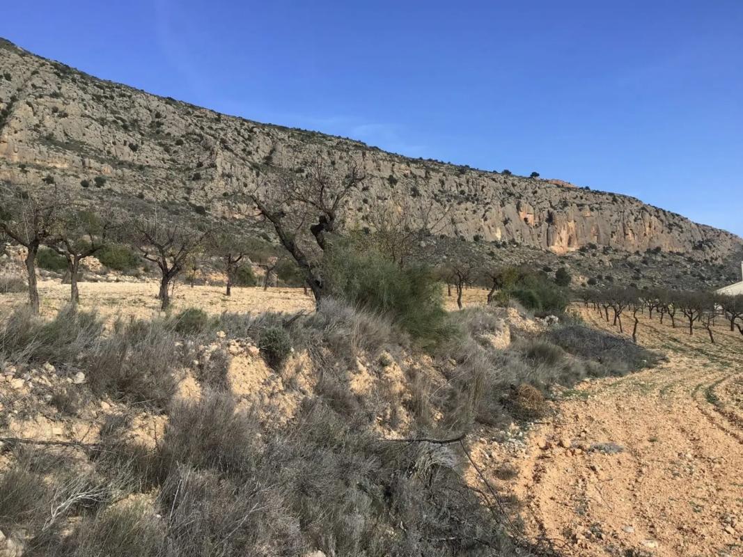 Land for sale in La Romana, Alicante photo 1
