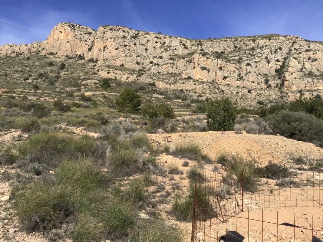 Land for sale in La Romana, Alicante photo 3