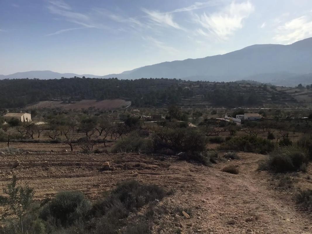 Land for sale in La Romana, Alicante photo 5