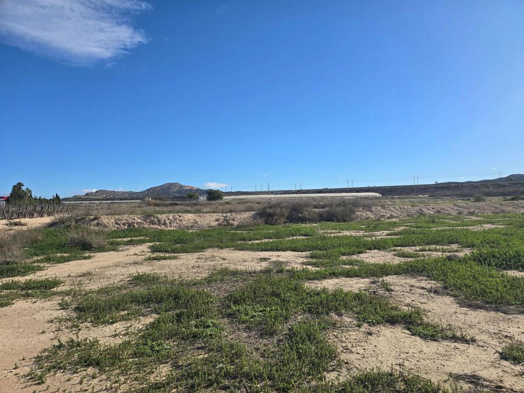 Terreno en venta en Monforte del Cid, Alicante photo 5