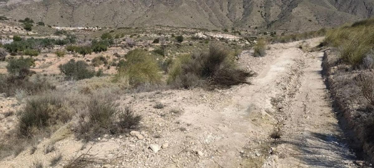 Land for sale in Hondón de las Nieves, Alicante photo 1