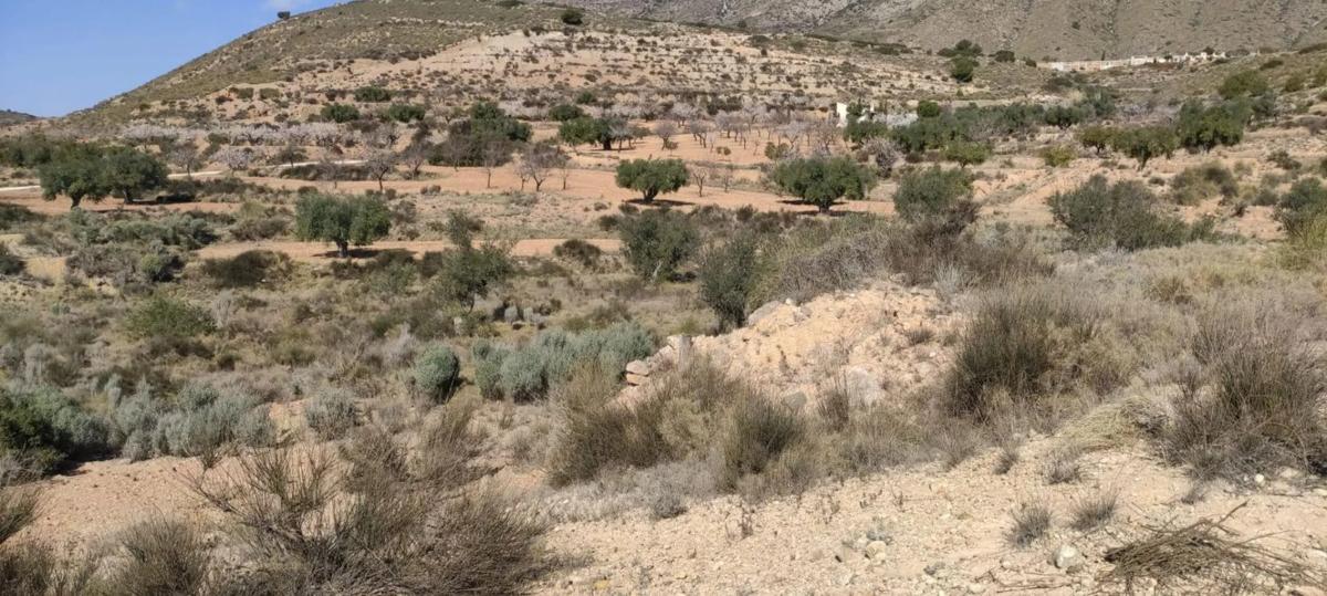 Land for sale in Hondón de las Nieves, Alicante photo 2