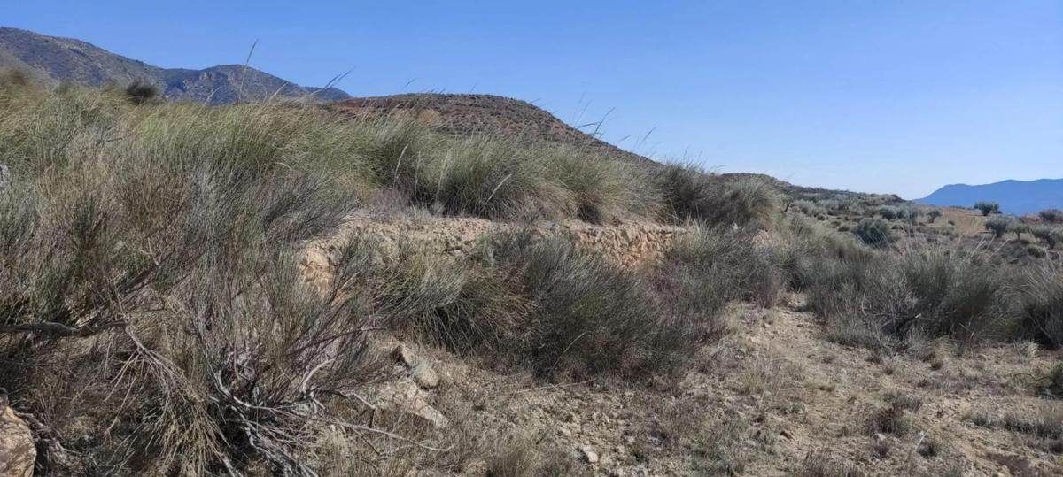 Land for sale in Hondón de las Nieves, Alicante photo 4