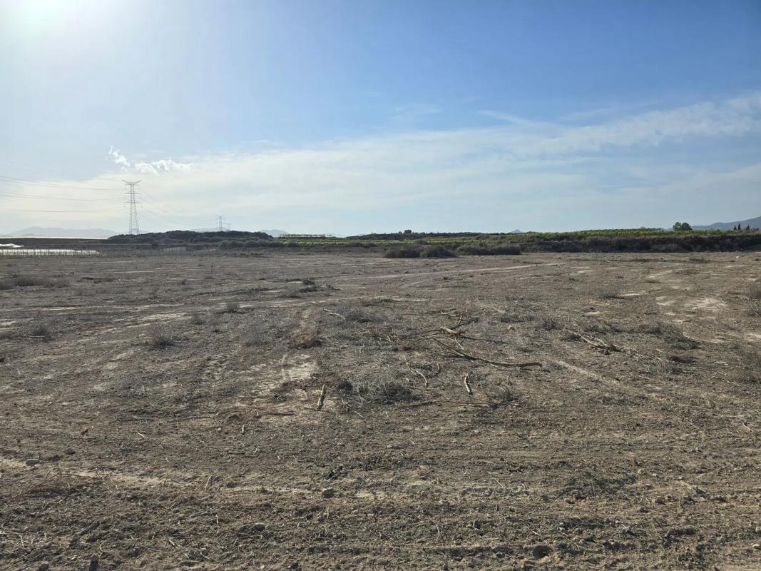 Terreno en venta en Monforte del Cid, Alicante photo 3