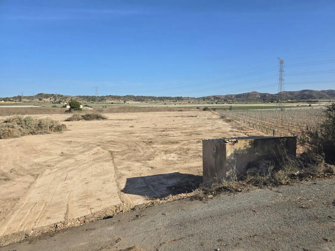 Terreno en venta en Monforte del Cid, Alicante photo 4