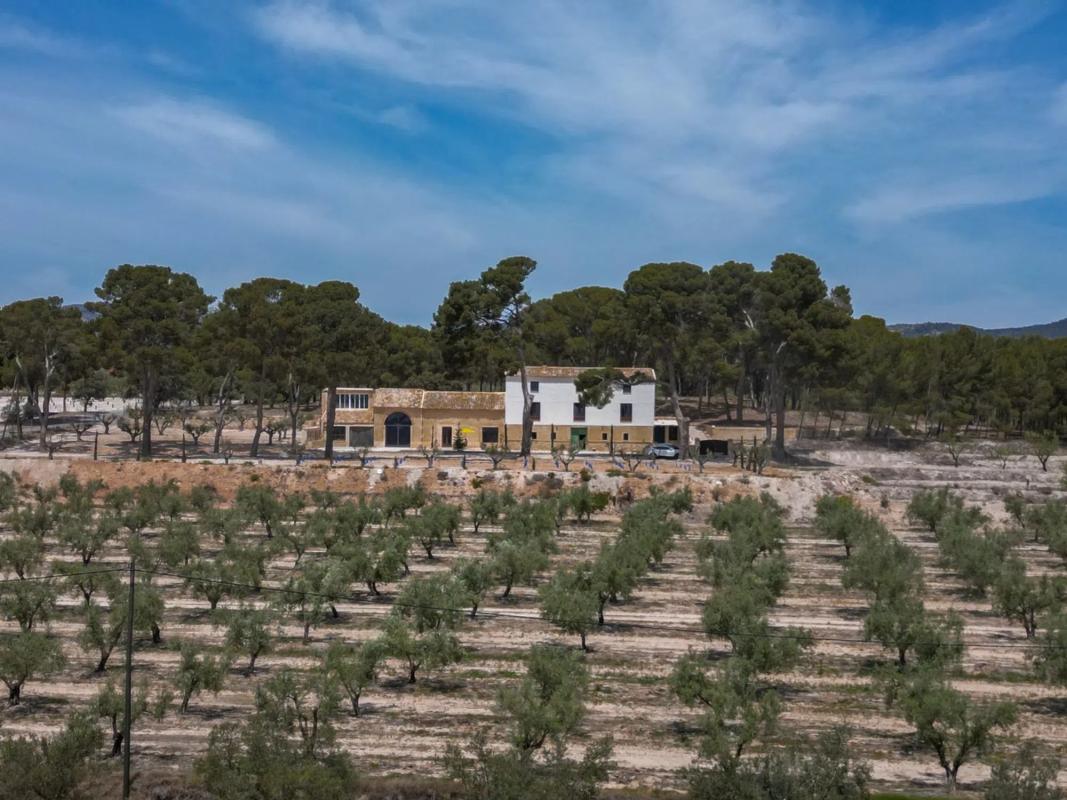 Venta de chalet independiente en L'Alfàs de Torro s/n, Castalla
photo 4