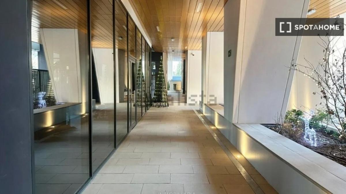 Apartment rental in C/ de Juan Esplandiú , Madrid photo 5