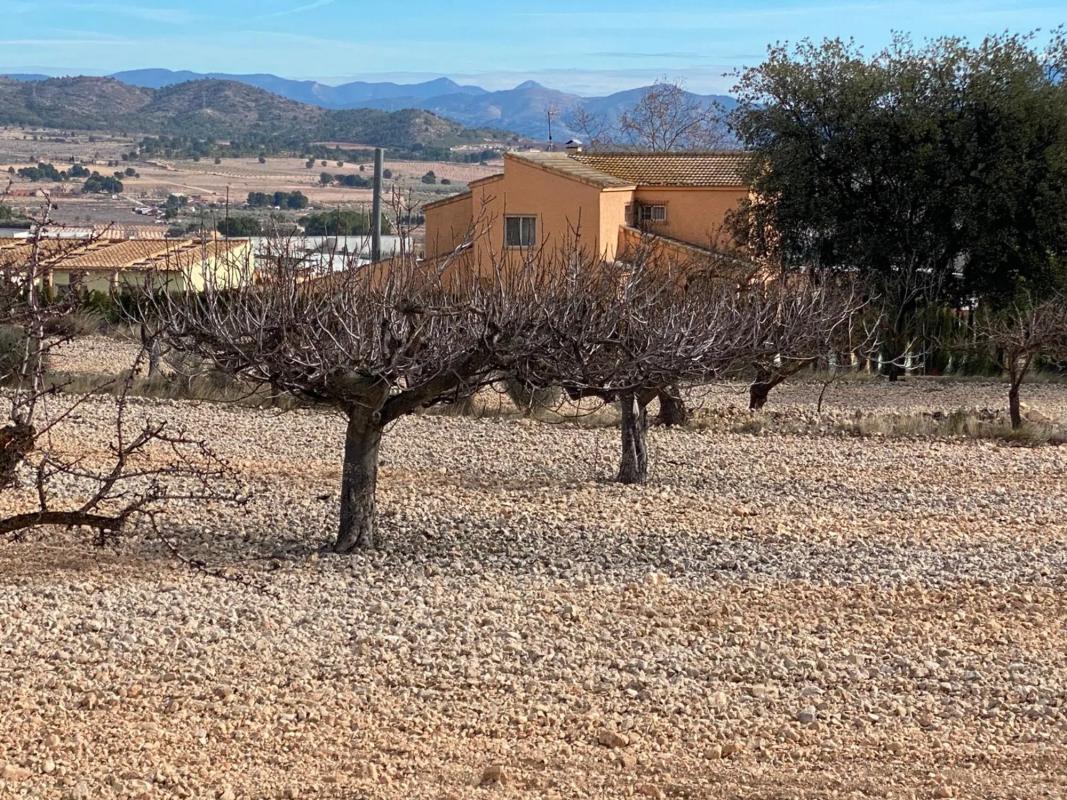 Sprzedaż działki rolnej w Paraje Cava Negra , Salinas photo 1