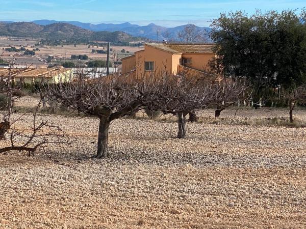 Finca rústica en venta en Paraje Cava Negra , Salinas photo 1