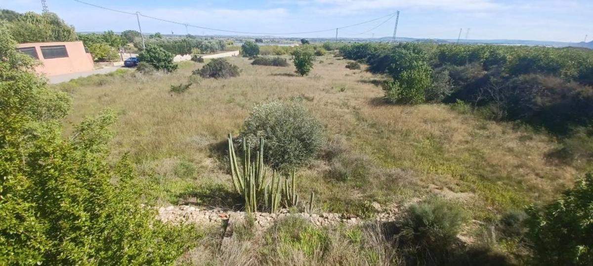 Properties for sale and rent in Spain photo 3