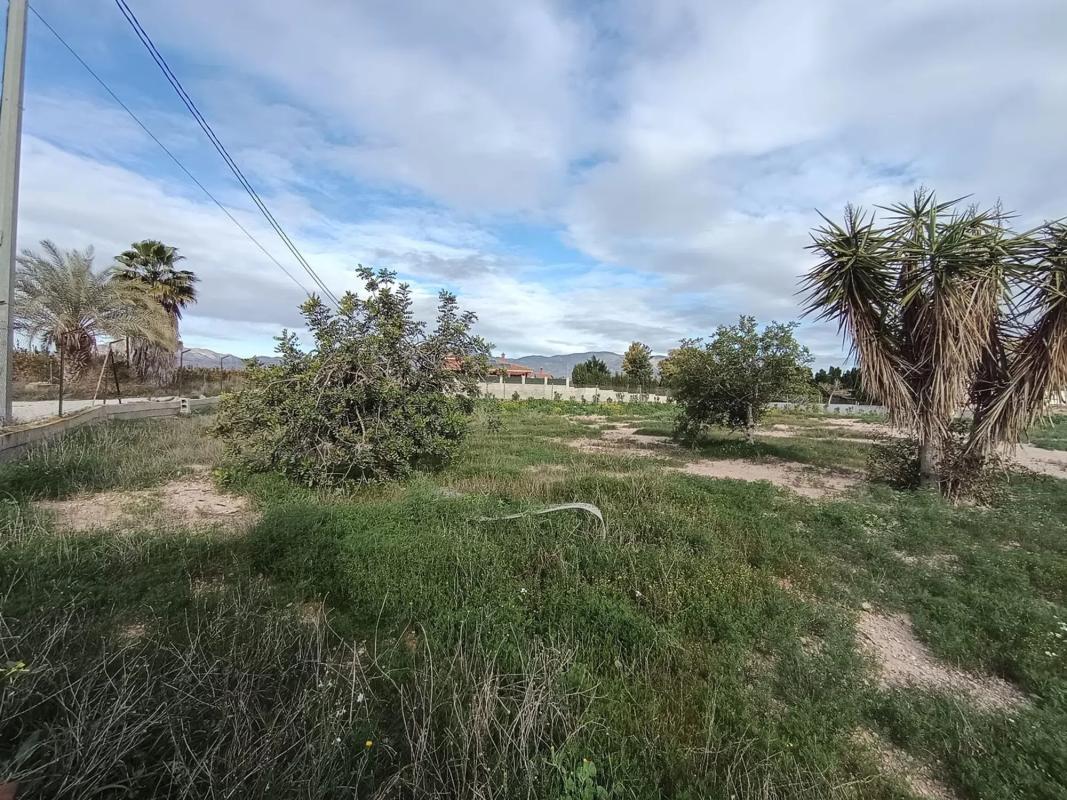 Properties for sale and rent in Spain photo 1