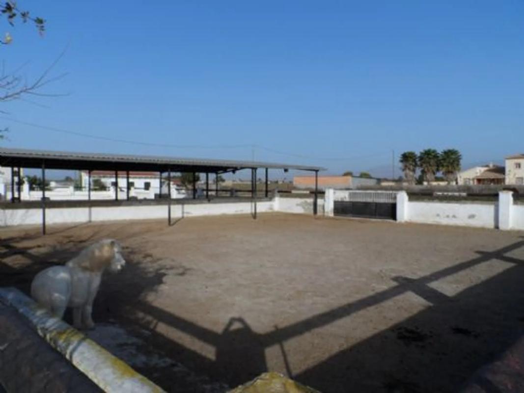 Properties for sale and rent in Spain photo 3