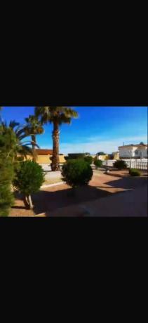Independent chalet for sale in Catral, Catral
 photo 4