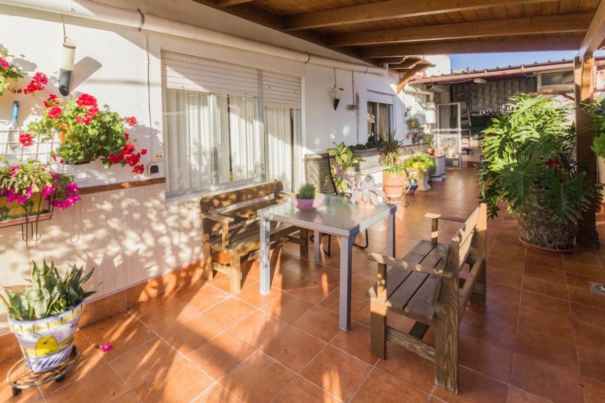 Venta de chalet independiente en Avenida Carmen, Cox
 photo 4