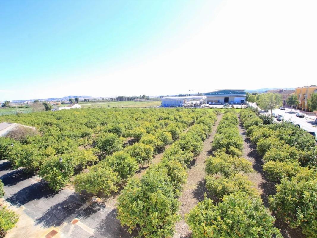 Venta de piso en CV-902, Daya Nueva
 photo 2
