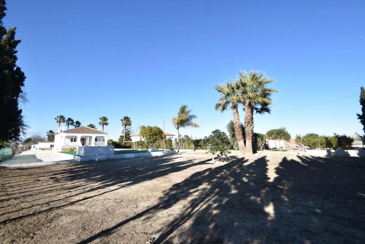 Sale of independent chalet in Dolores, Dolores
photo 4