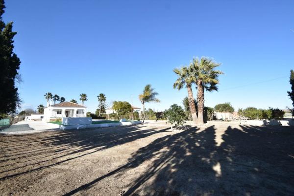 Independent chalet for sale in Dolores, Dolores
 photo 4