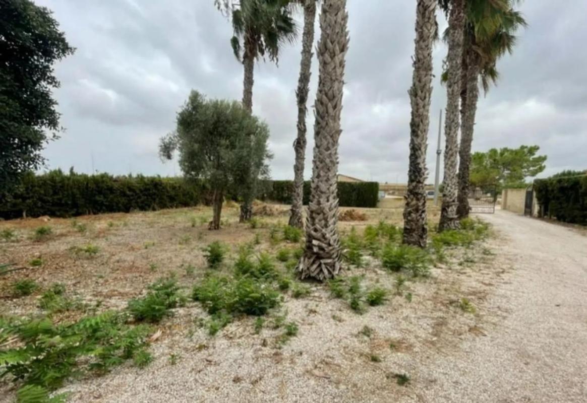 Sale of independent chalet in Formentera del Segura, Formentera del Segura
photo 3