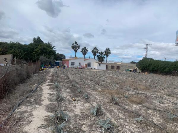 Finca rústica en venta en Calle Cartagena, 10 , Guardamar del Segura thumbnail 1