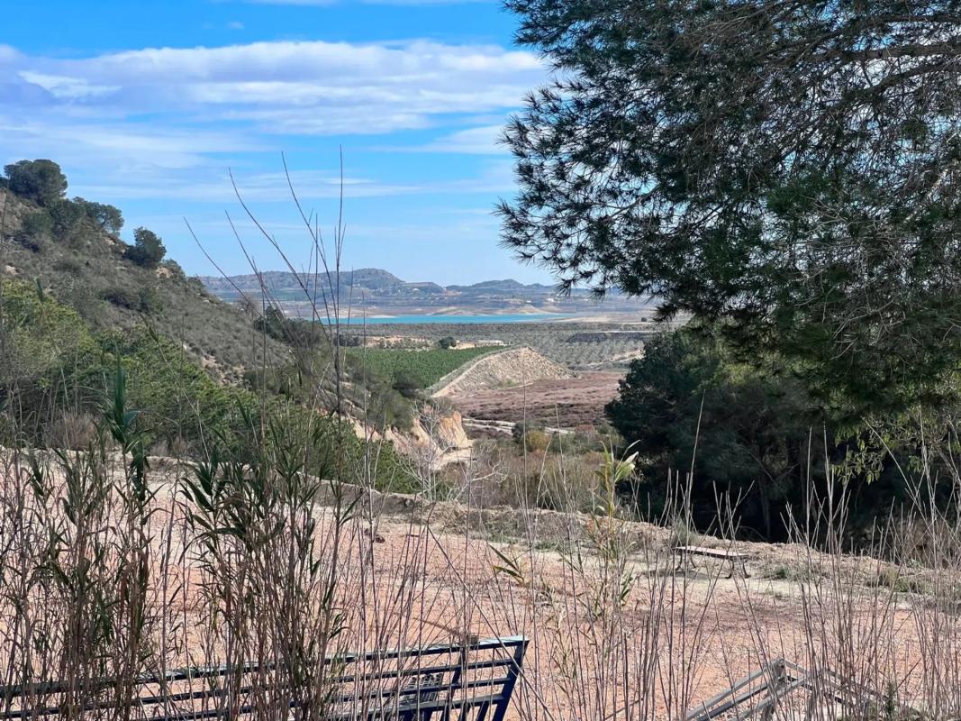 Venta de finca rústica en Desamparados-Hurchillo-Torremendo , Orihuela photo 1