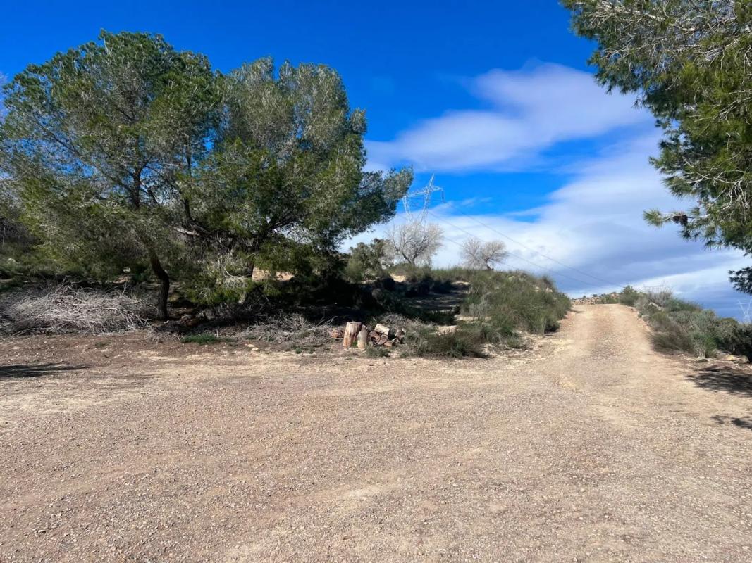 Venta de finca rústica en Desamparados-Hurchillo-Torremendo , Orihuela photo 3
