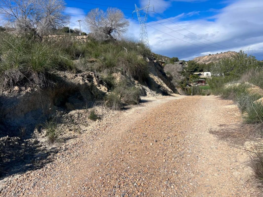 Venta de finca rústica en Desamparados-Hurchillo-Torremendo , Orihuela photo 4