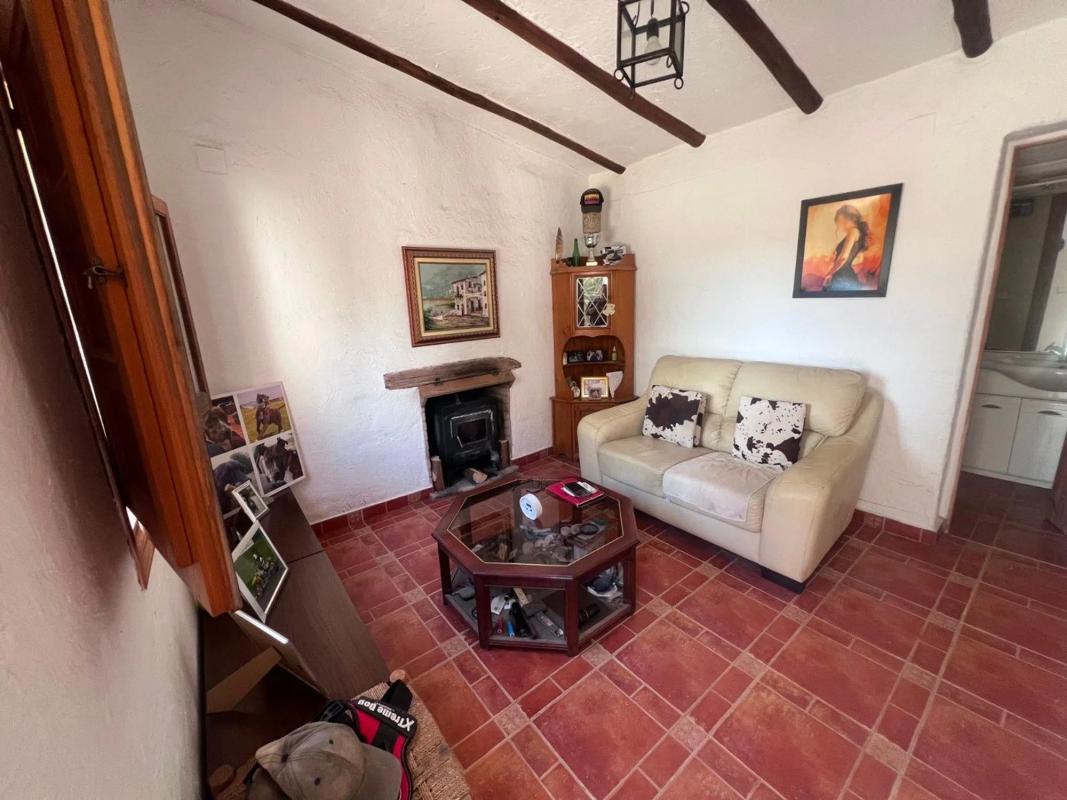 Venta de finca rústica en Desamparados-Hurchillo-Torremendo , Orihuela photo 5