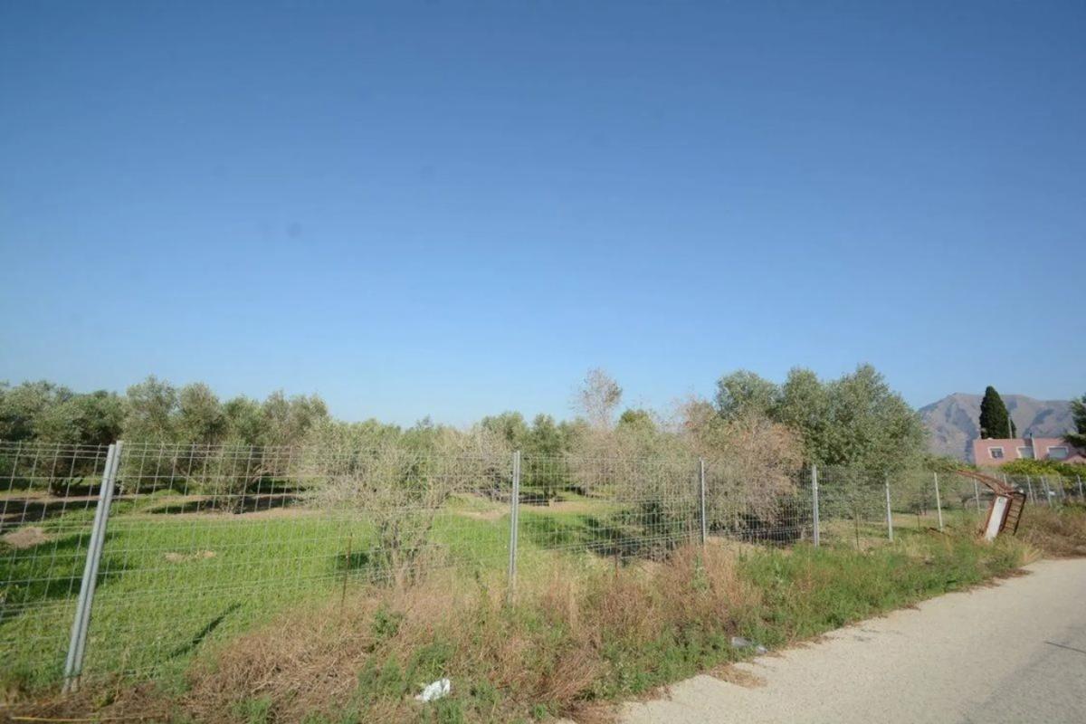 Venta de finca rústica en  Molins-Campaneta-San Bartolomé , Orihuela photo 5
