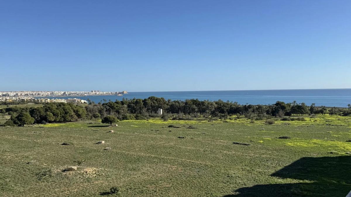 Venta de piso en Avenida del Mar, Orihuela
photo 2
