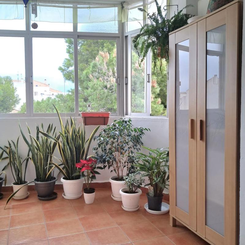 Penthouse sale in  Calle Pérez Galdós, 52, Pilar de la Horadada photo 2