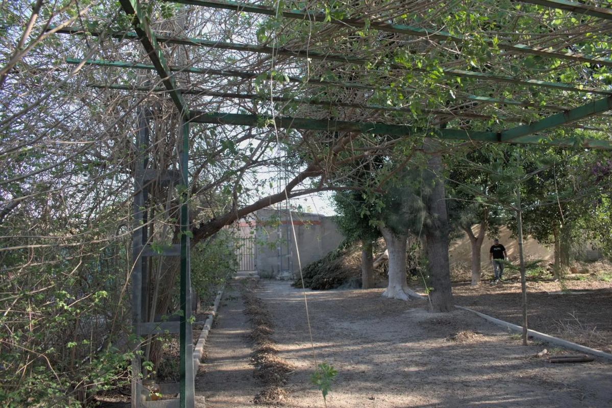 Venta de finca rústica en Calle Pascual Martínez , Redovan photo 1