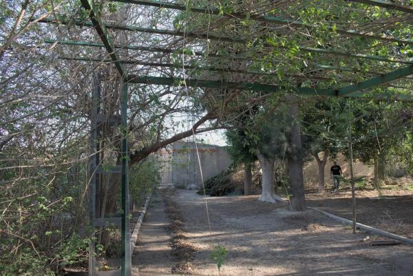 Finca rústica en venta en Calle Pascual Martínez , Redovan photo 1