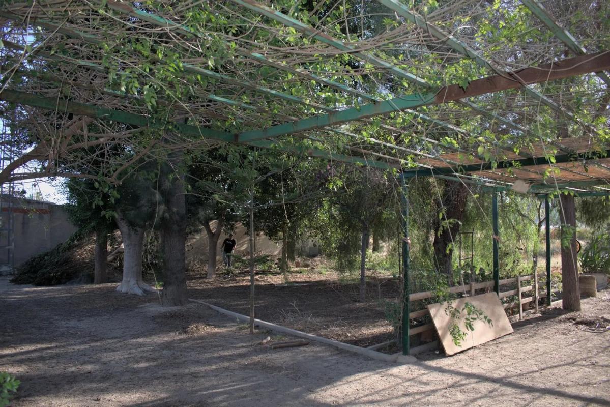 Venta de finca rústica en Calle Pascual Martínez , Redovan photo 5