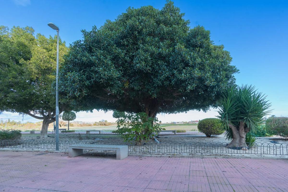 Venta de ático en Avenida Príncipe de Asturias, 9, San Fulgencio photo 5