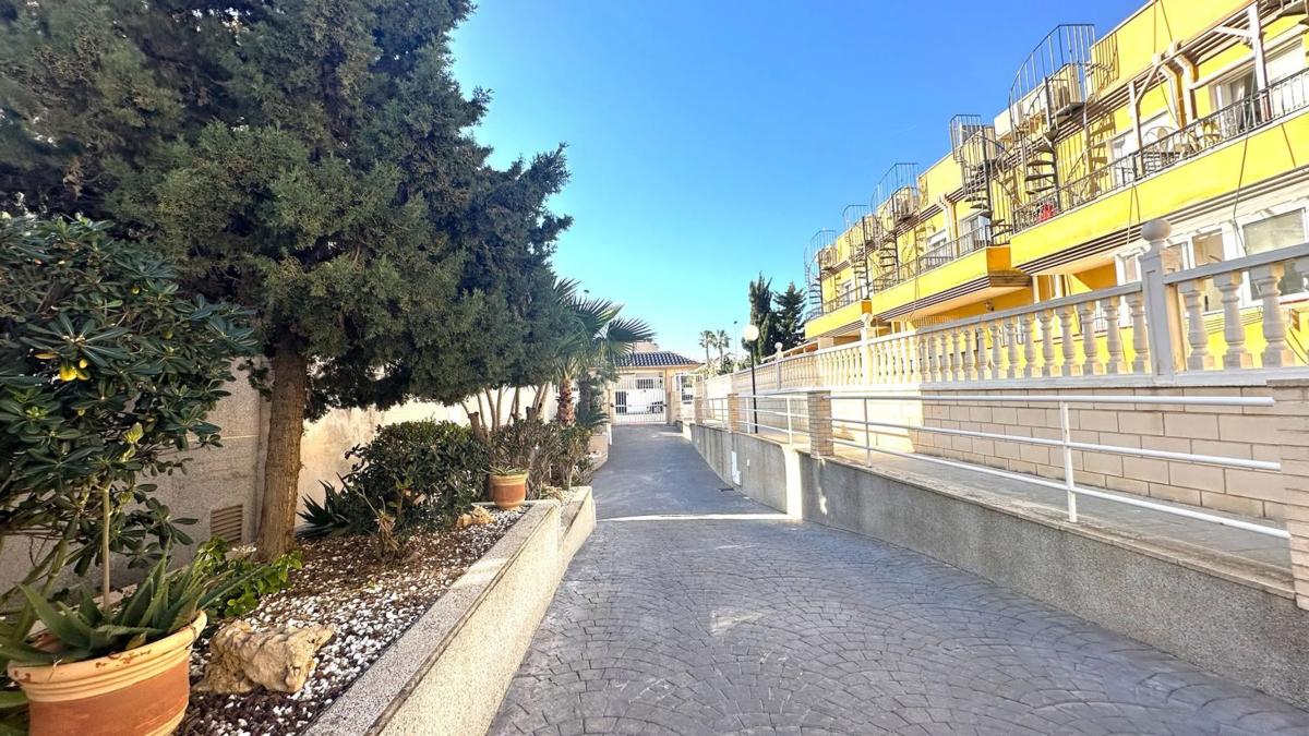 Продажа пентхауса на  Calle Talía, 4, Торревьеха photo 4