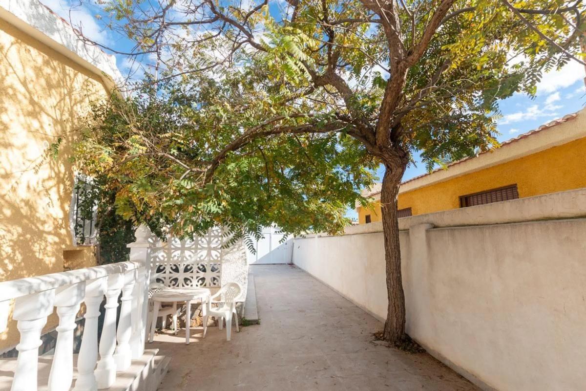 Venta de chalet independiente en Calle Martín Pescador, 29, Torrevieja
photo 2