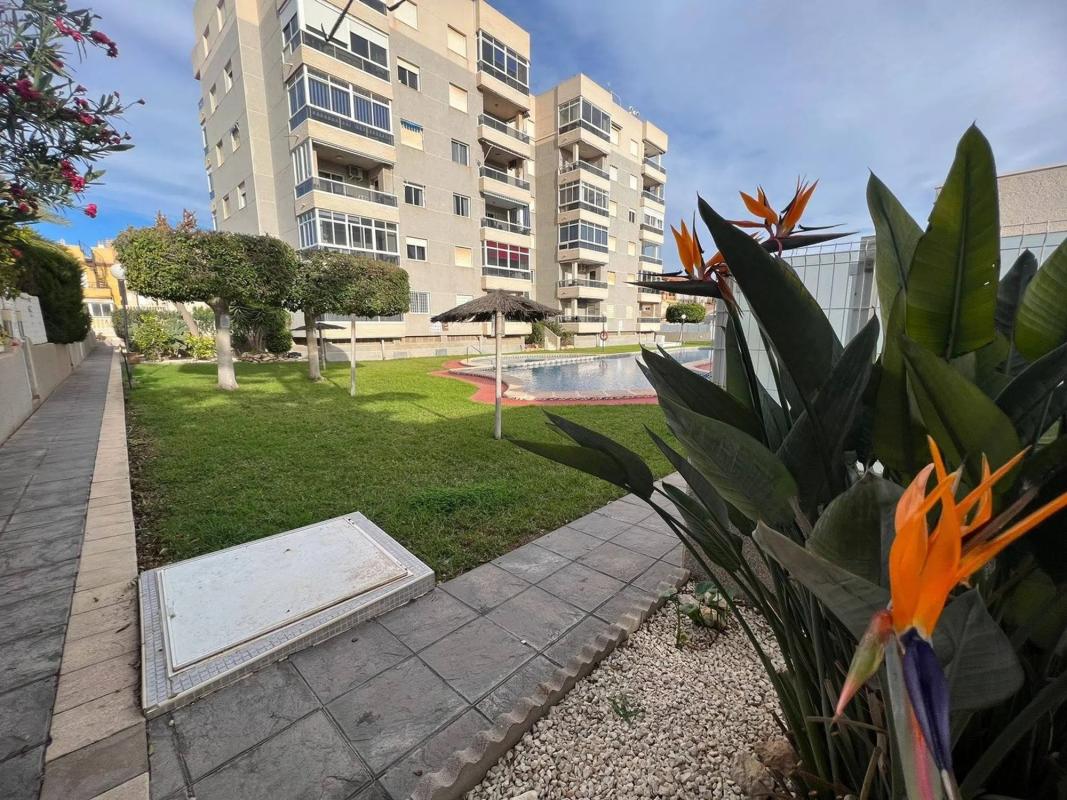 Продажа квартиры на Barrio Aguas Nuevas, Торревьеха
photo 4