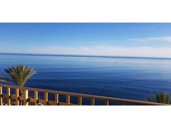 Venta de piso en Paseo Juan Aparicio, 11, Torrevieja
thumbnail 1