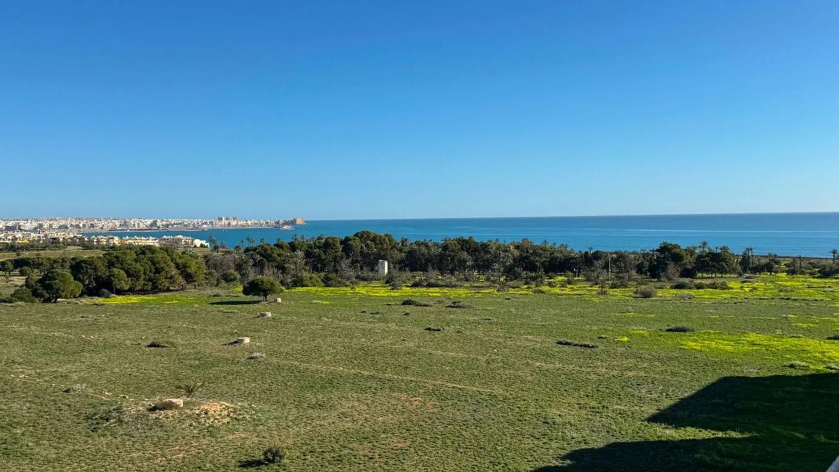 Venta de ático en  punta prima, Torrevieja photo 2